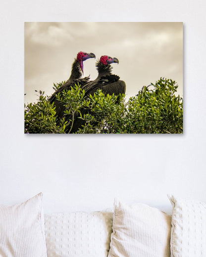 Animal 581 - @UPGallery