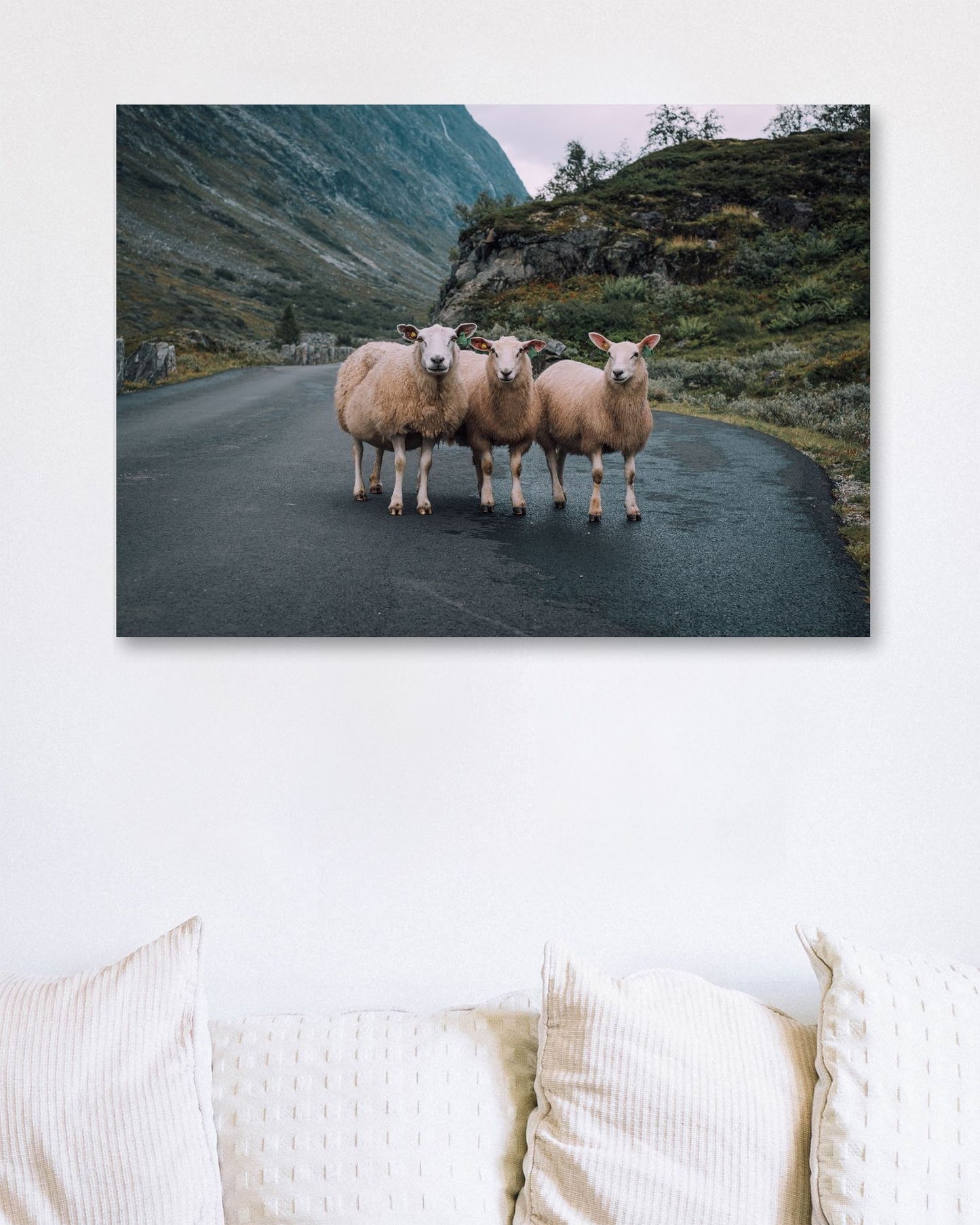 Animal 594 - @UPGallery