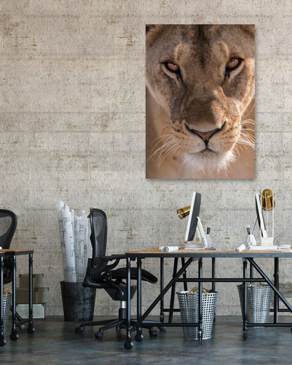 Animal 603 - @UPGallery