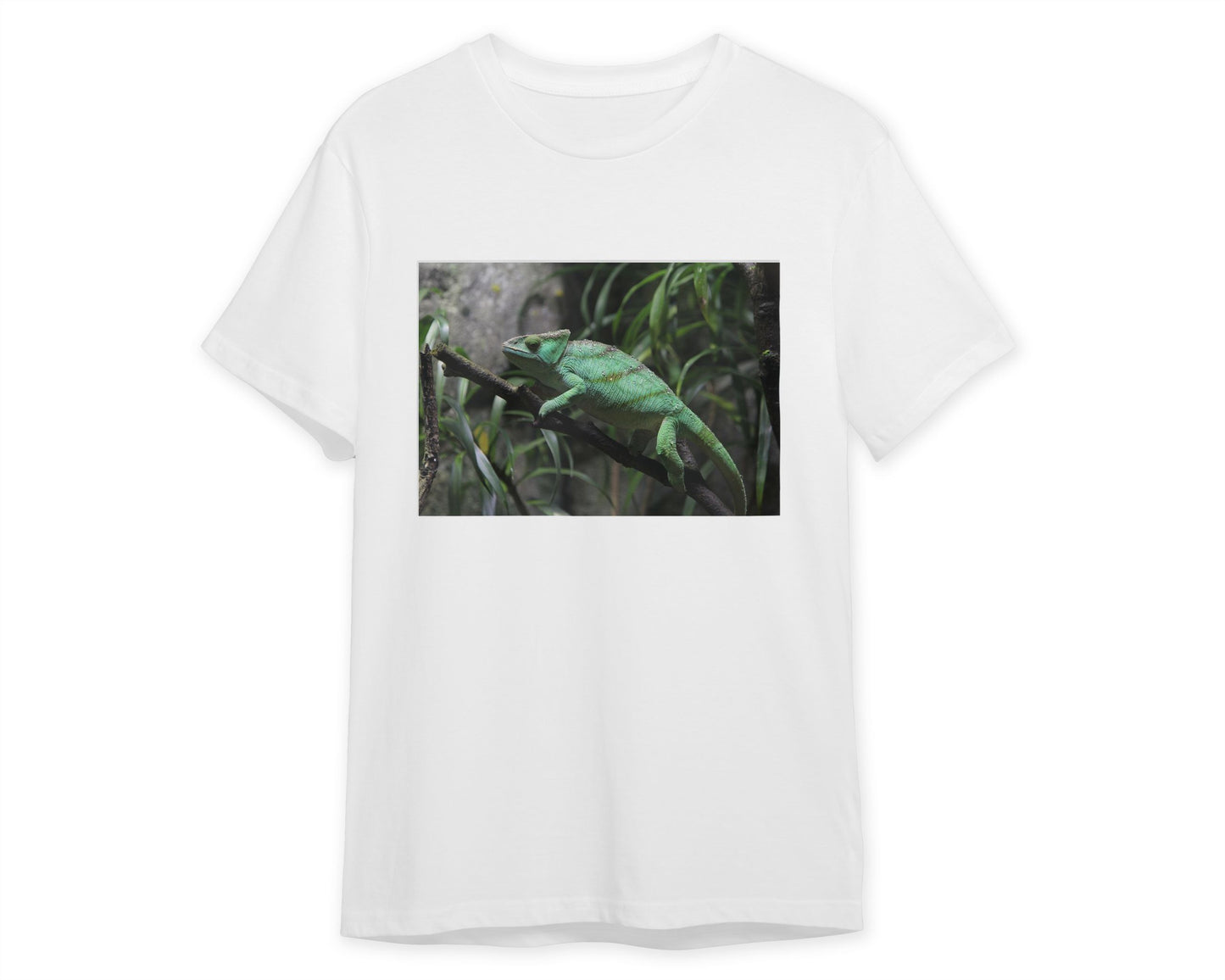 Animal 612 - @UPGallery