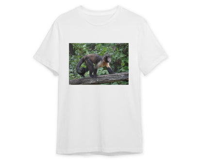 Animal 620 - @UPGallery