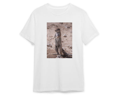 Animal 639 - @UPGallery