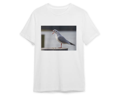 Animal 656 - @UPGallery