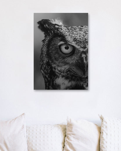 Animal 682 - @UPGallery