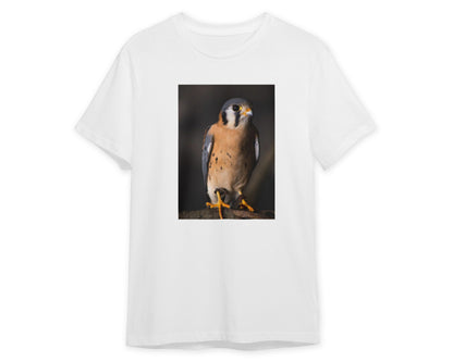 Animal 705 - @UPGallery