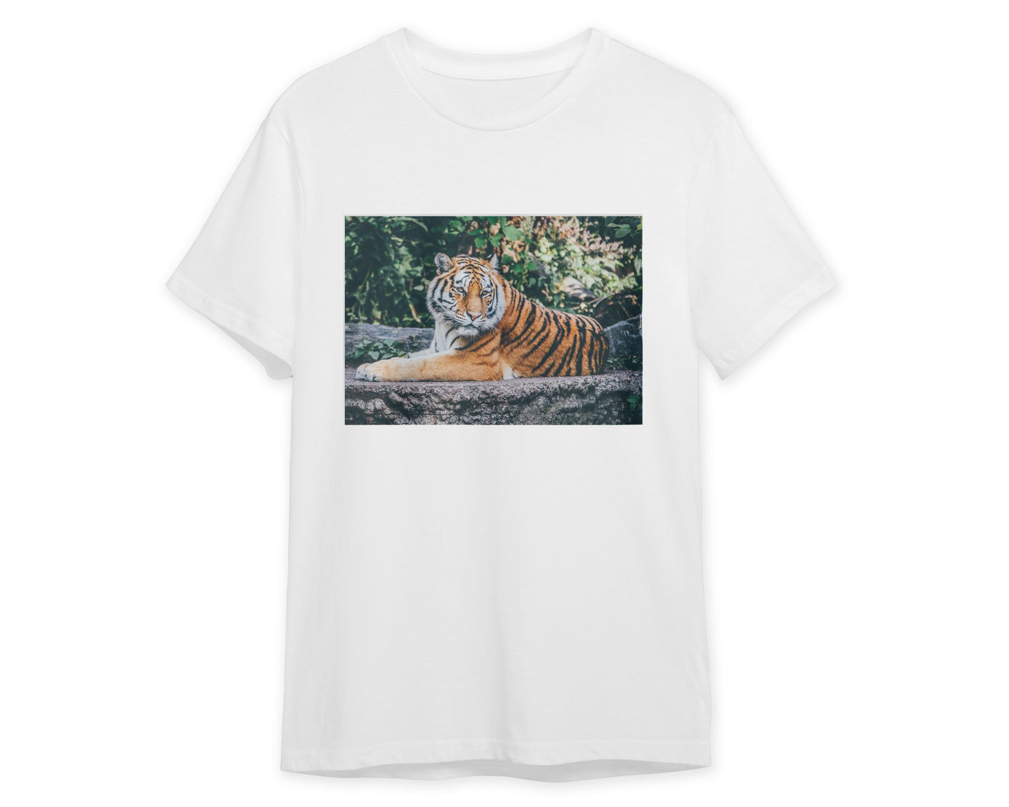 Animal 785 - @UPGallery