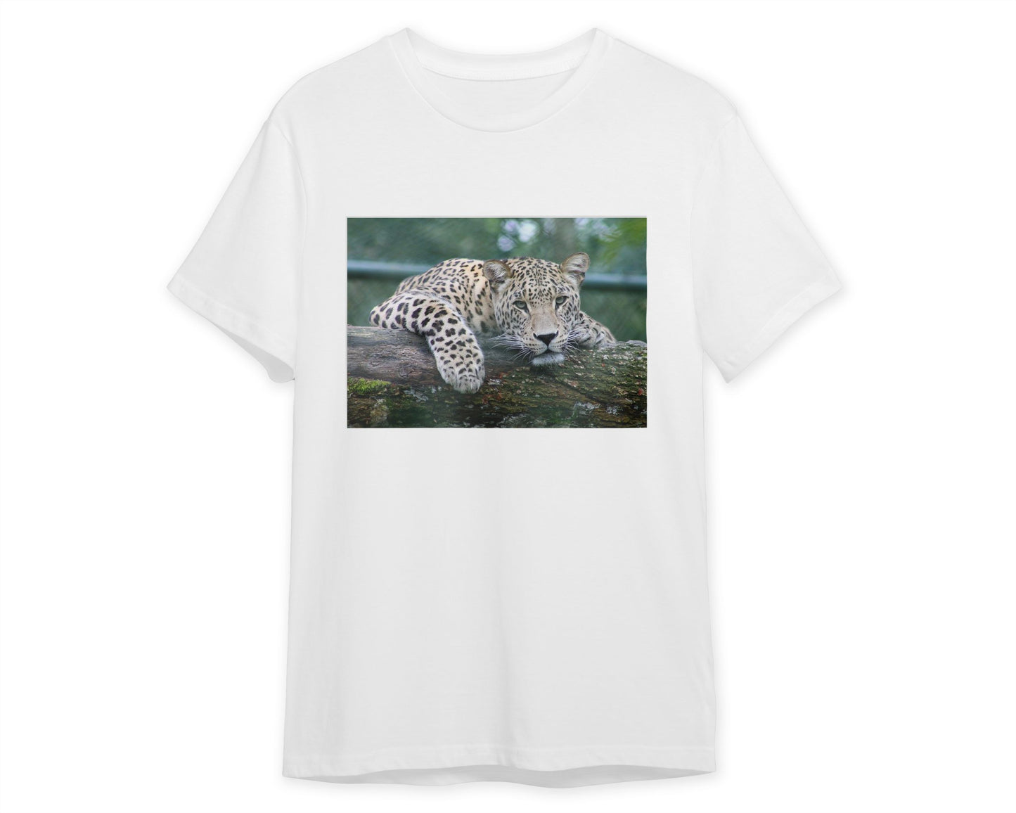 Animal 796 - @UPGallery