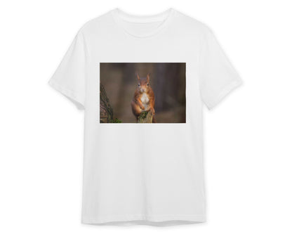 Animal 832 - @UPGallery