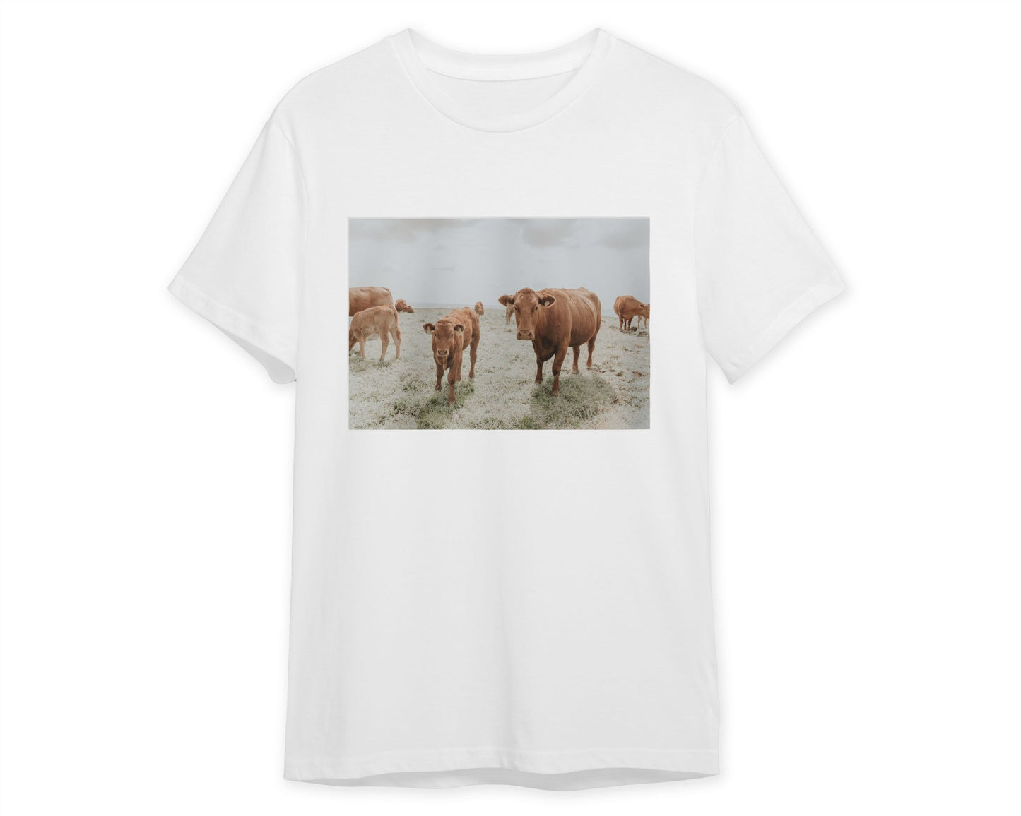 Animal 833 - @UPGallery