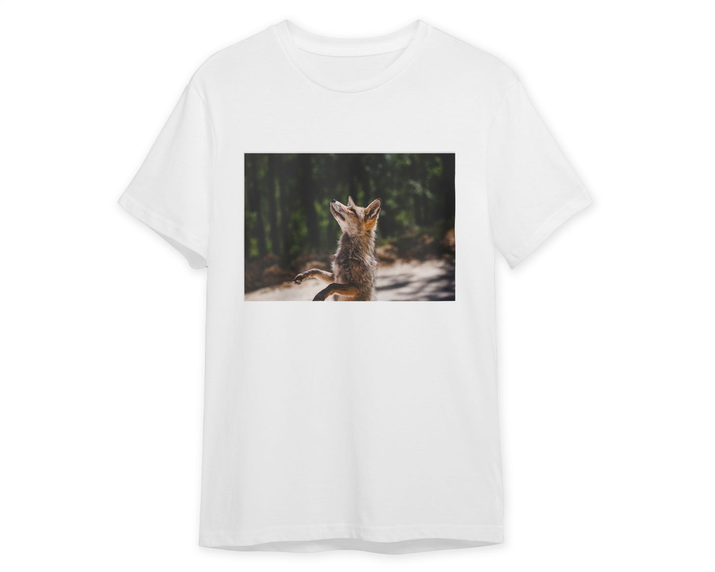 Animal 856 - @UPGallery