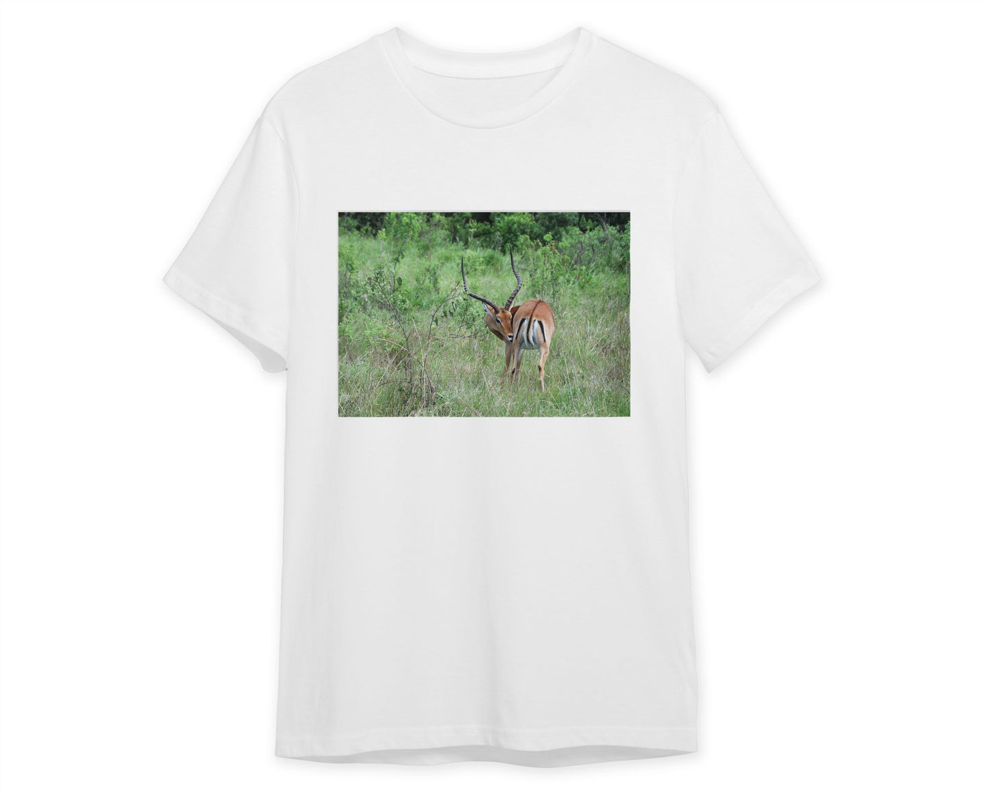 Animal 87 - @UPGallery