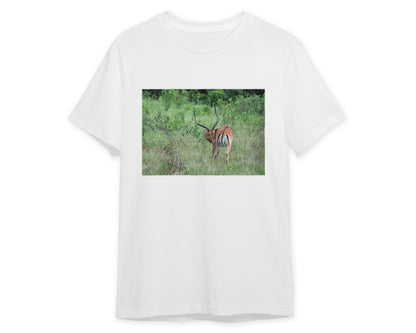 Animal 87 - @UPGallery