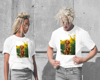 Animal 919 - @UPGallery