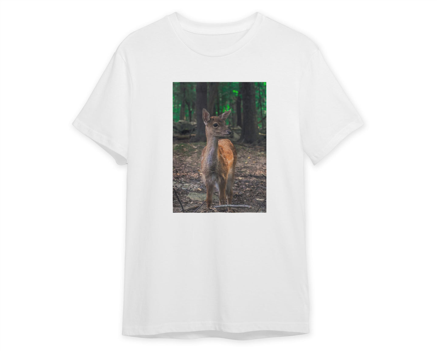 Animal 928 - @UPGallery