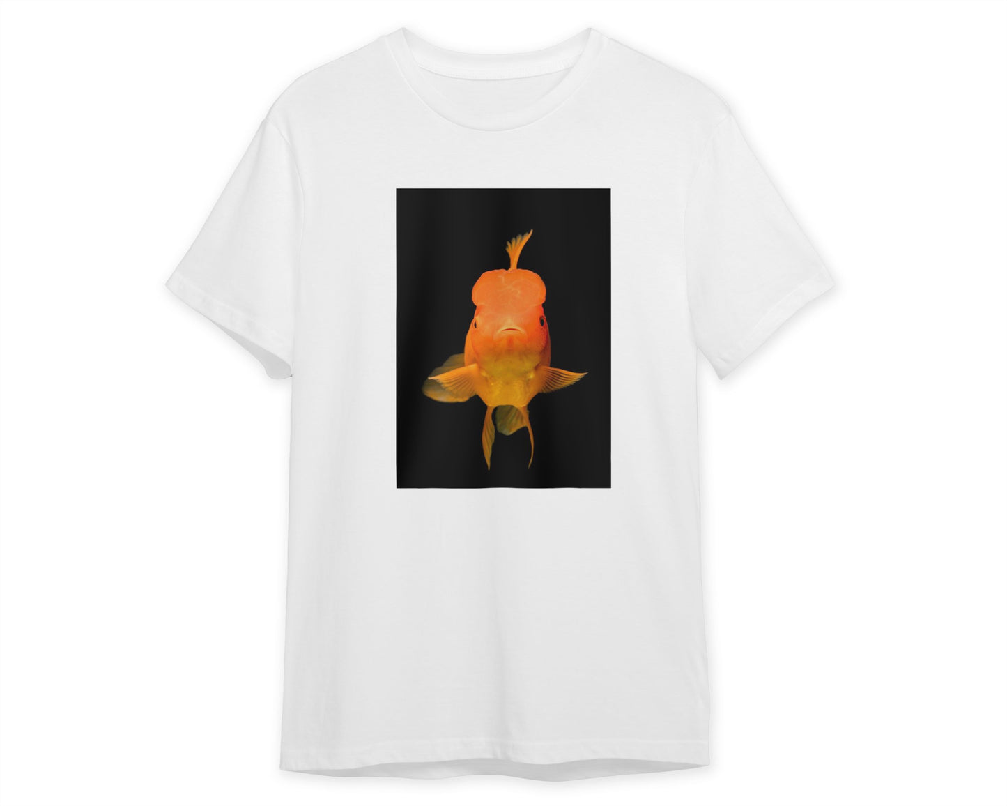 Animal 934 - @UPGallery