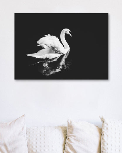 Animal 975 - @UPGallery