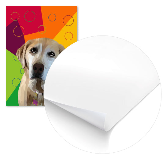 animal dogs - @msheltyan