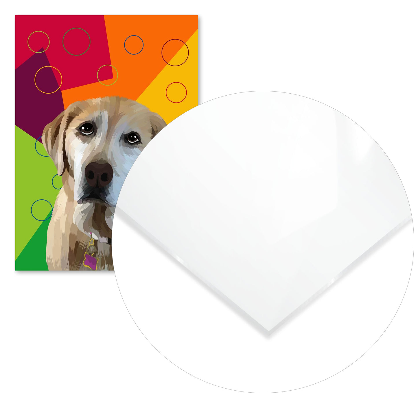 animal dogs - @msheltyan