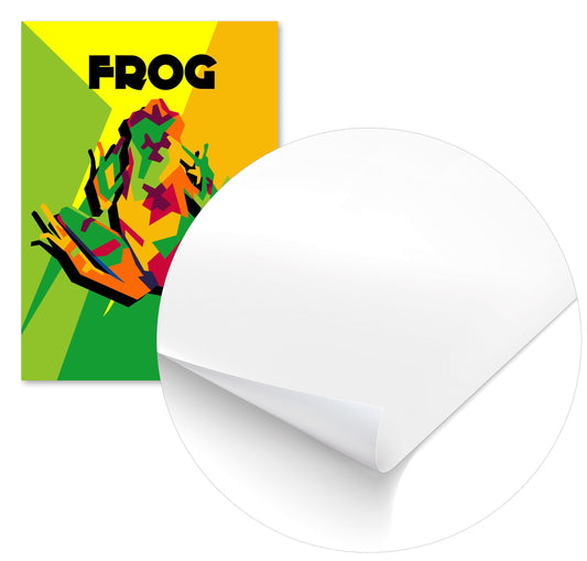 animal frog - @msheltyan