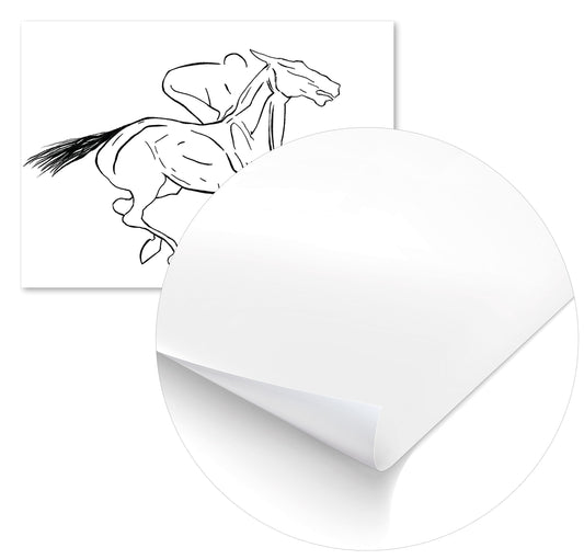 CABALLO Y JINETE 9 - @JuanAlcalÃ¡