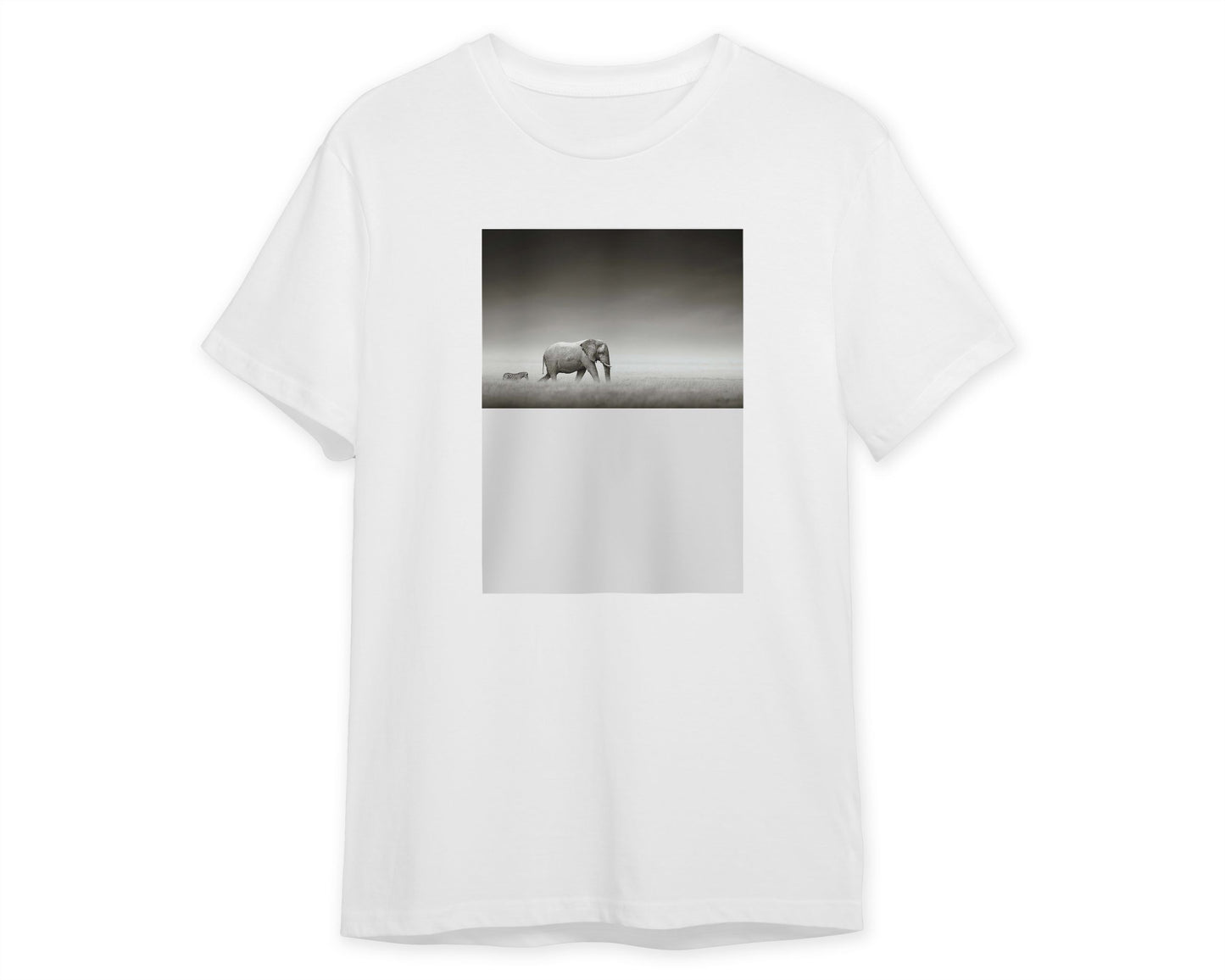 Elephant with zebra - @chusna