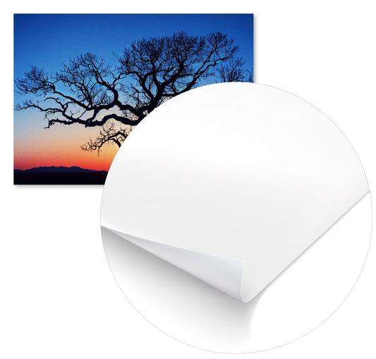 Fantasy 121 - @Comic41