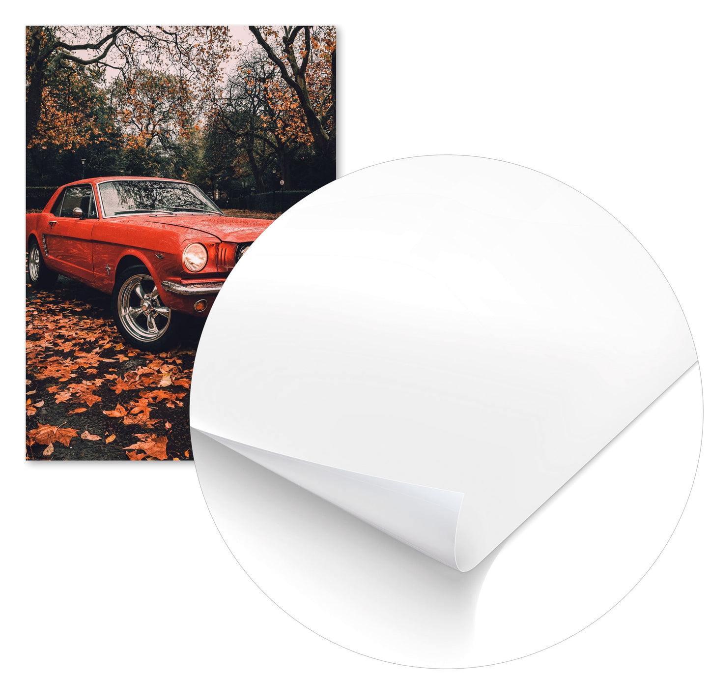 First Generation Ford Mustang - @SpeedArt