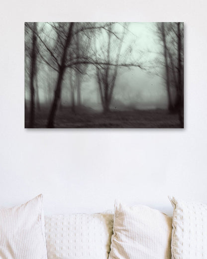 forest - @javierbago