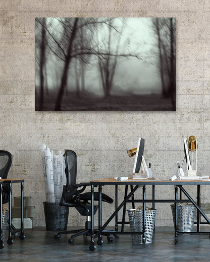 forest - @javierbago