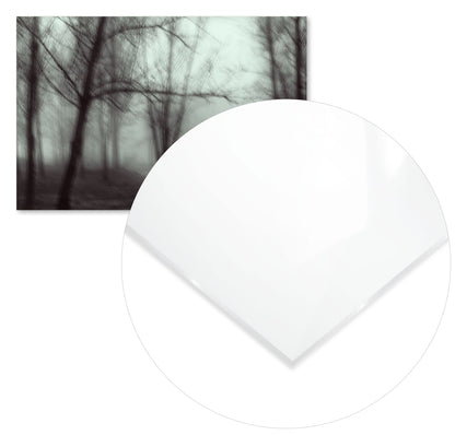 forest - @javierbago