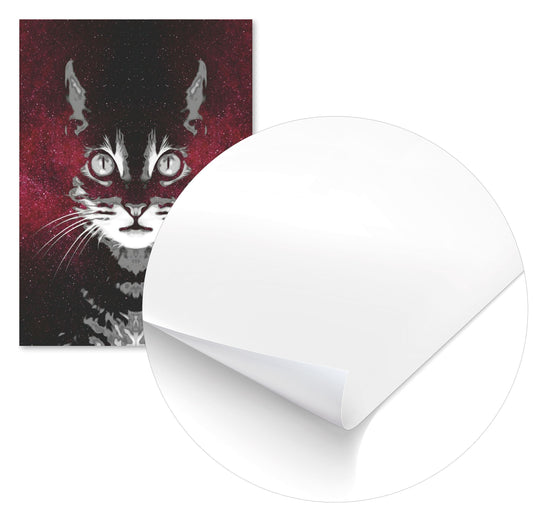 Galaxy Cat  - @VickyHanggara