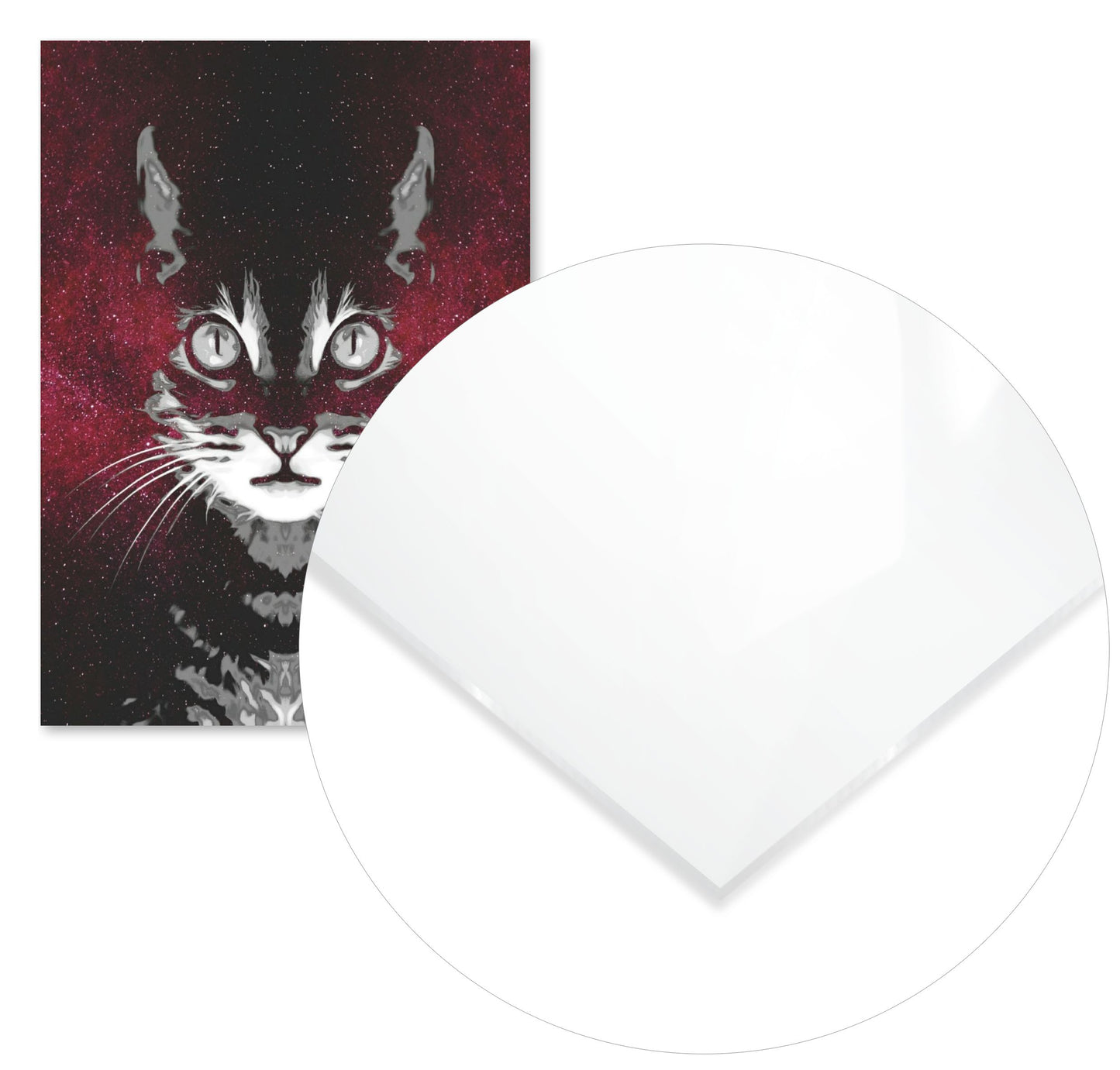 Galaxy Cat  - @VickyHanggara