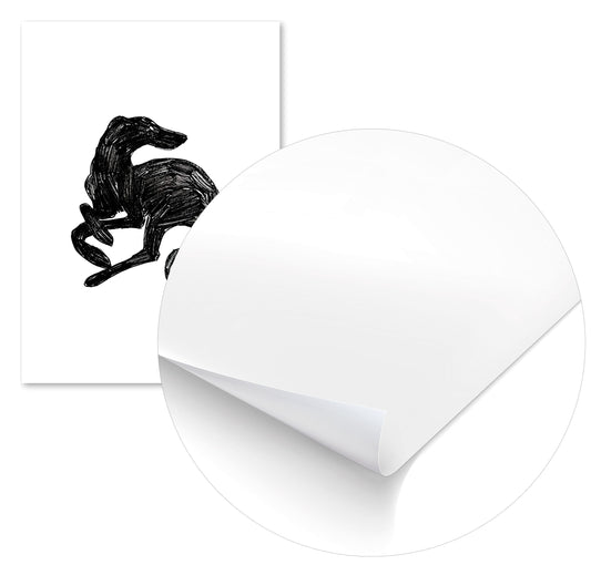 Galgo corredor - @AndreaMadrid