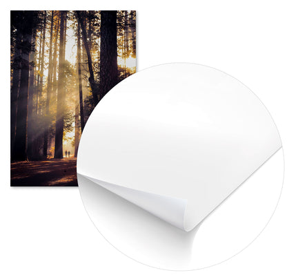 Light in the darkness - @Sonni