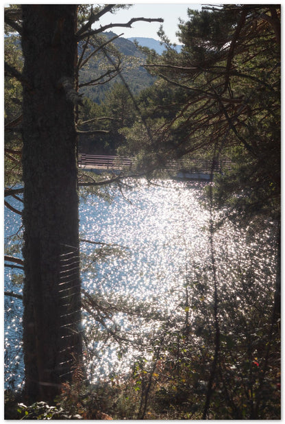 Los reflejos del lago en el bosque que dan un aurea nostÃ¡lgica - @filmload