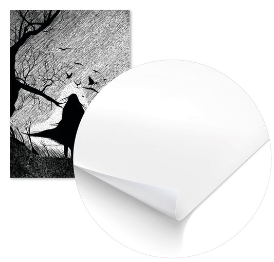 Noche - @JuanAlcalÃ¡