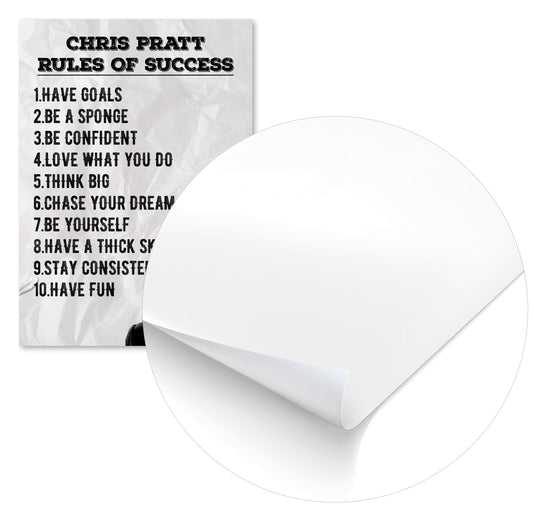 Rules of Success Chris Pratt Quote - @ColorizeStudio