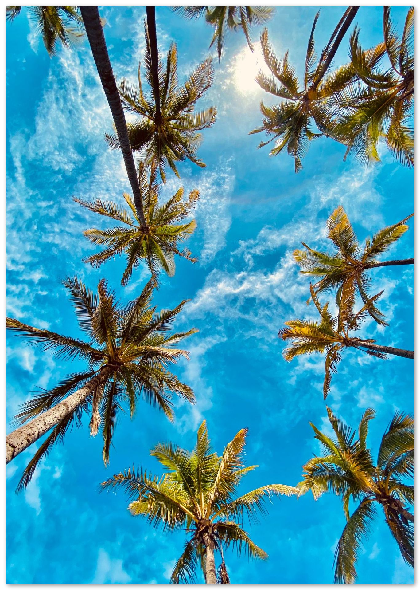 Summer 13 - @UPGallery