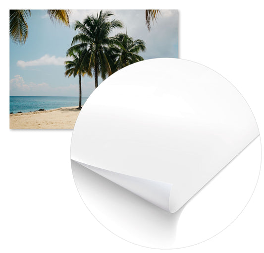 Summer 375 - @UPGallery