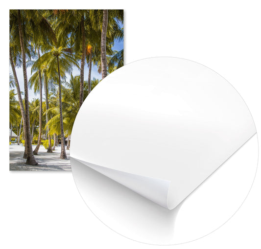 Summer 435 - @UPGallery