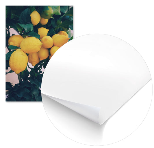 Summer 45 - @UPGallery