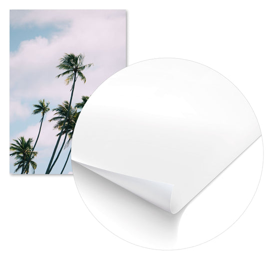 Summer 658 - @UPGallery