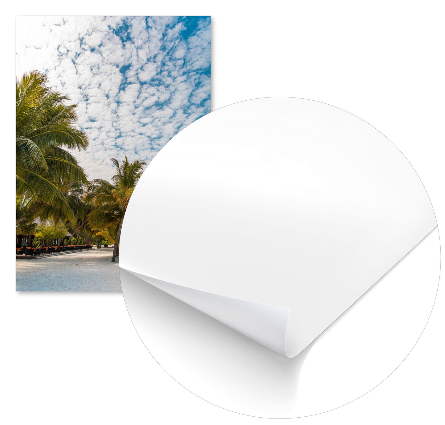 Summer 841 - @UPGallery