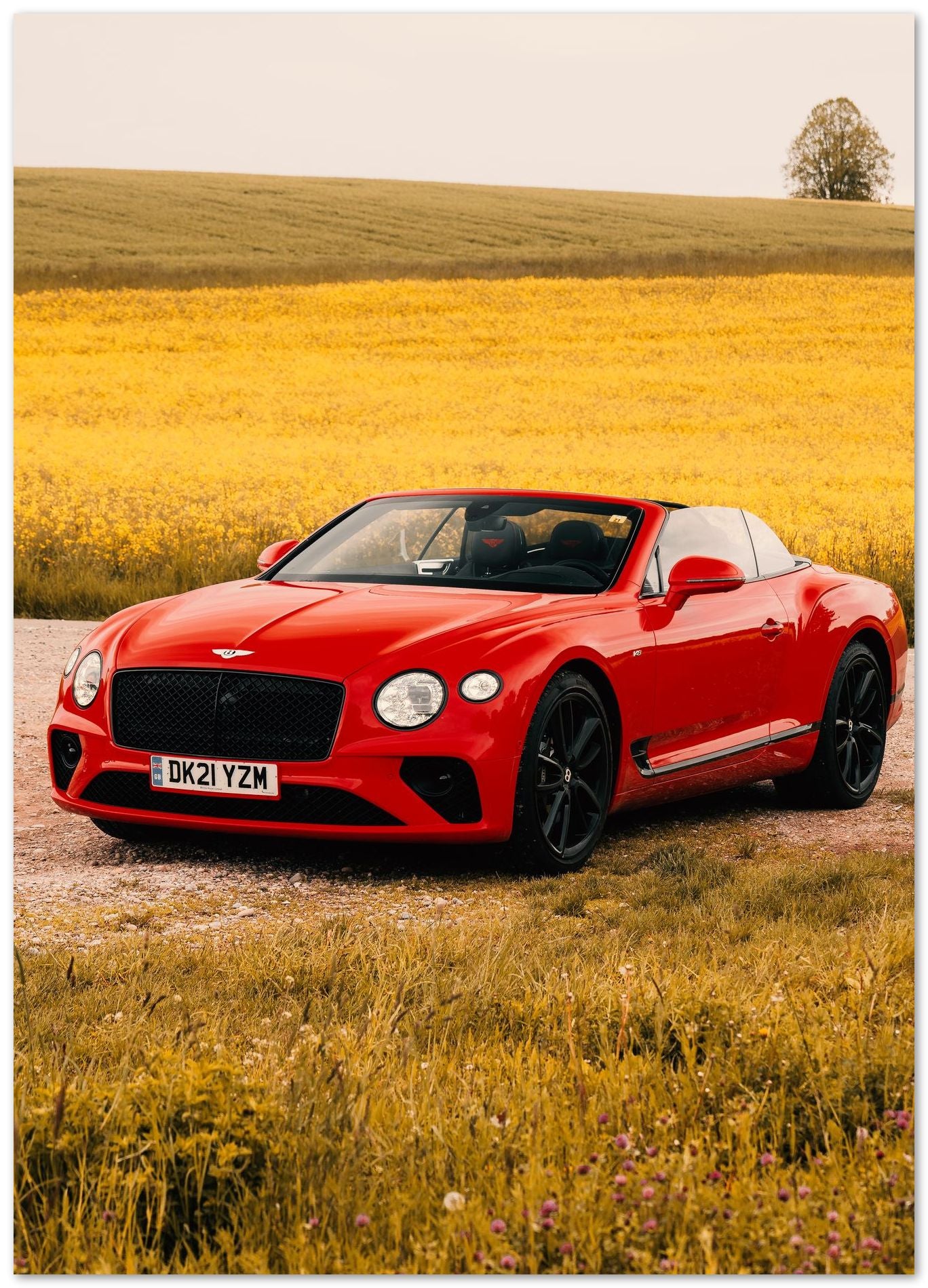 Bentley Continental GTC - @SpeedArt