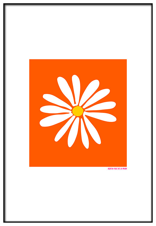 Orange Background Daisy - @agatharuizdlprada