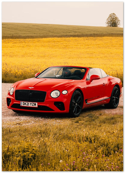 Bentley Continental GTC - @SpeedArt