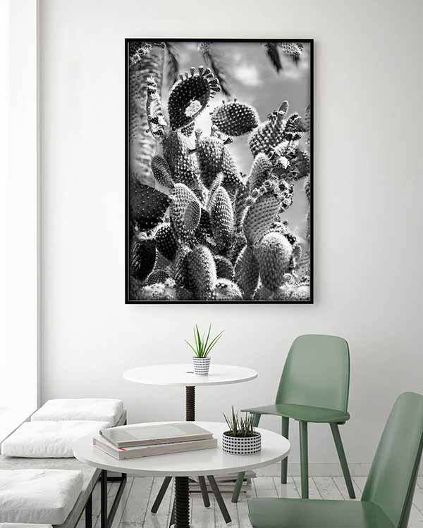 Black and White Cactus - @germanvalle