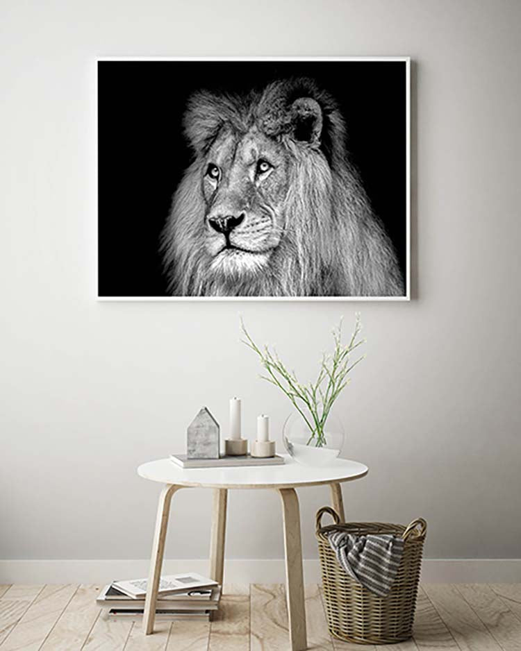 Black and White Lion - @manuelramos