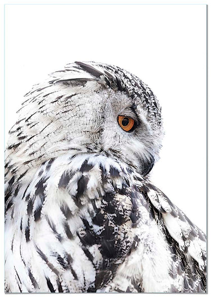 Owl Right Profile - @manuelramos