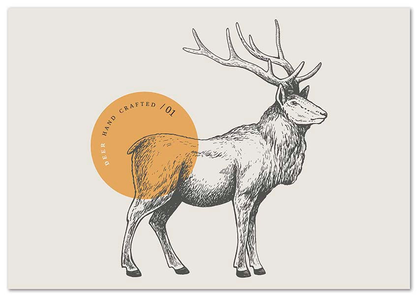 Deer Drawing - @manuelramos